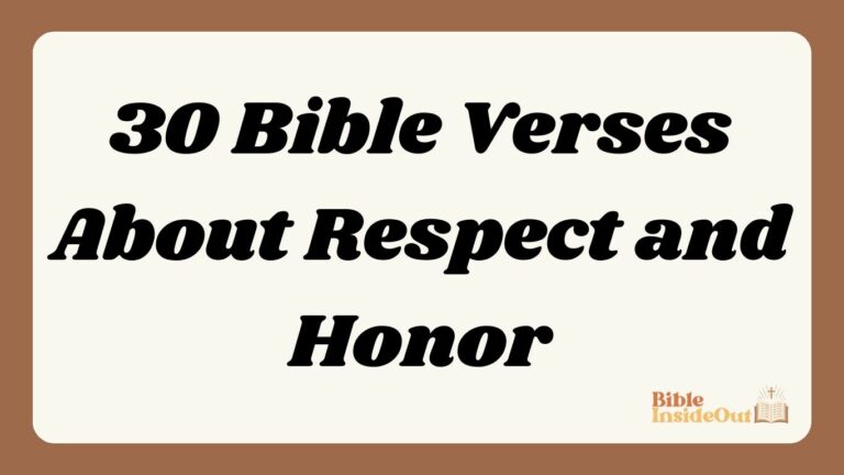 30 Bible Verses About Respect and Honor (With Commentary)