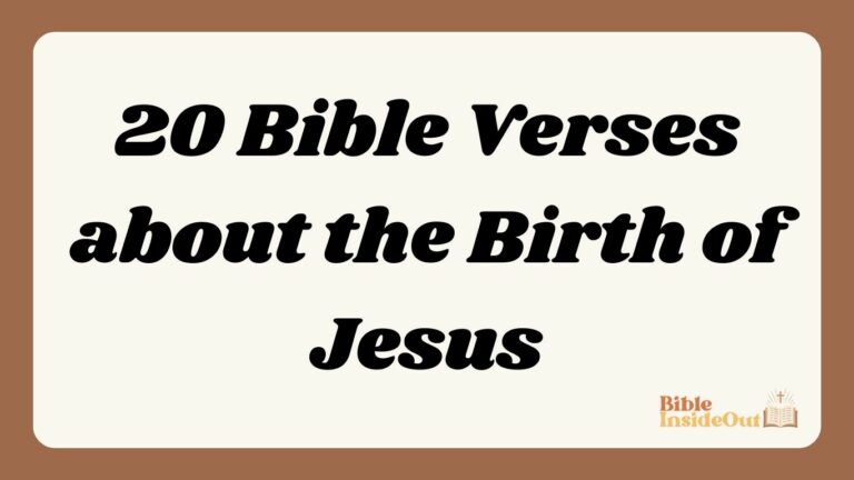 20 Bible Verses about the Birth of Jesus (With Commentary)