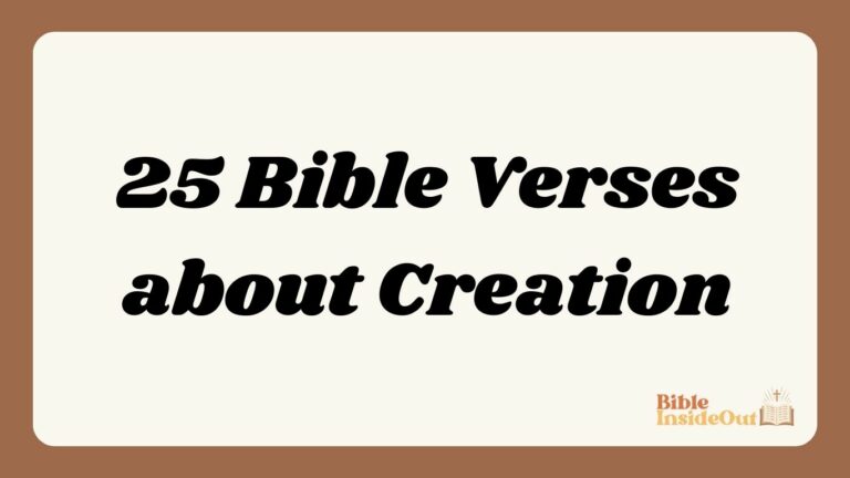 25 Bible Verses about Creation (With Commentary)