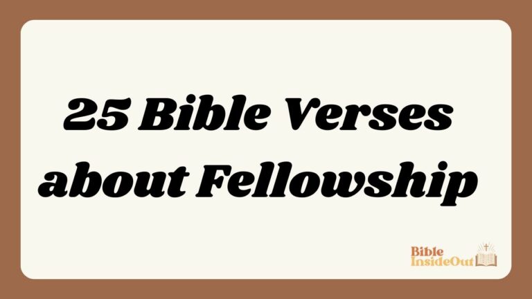 25 Bible Verses about Fellowship (With Commentary)