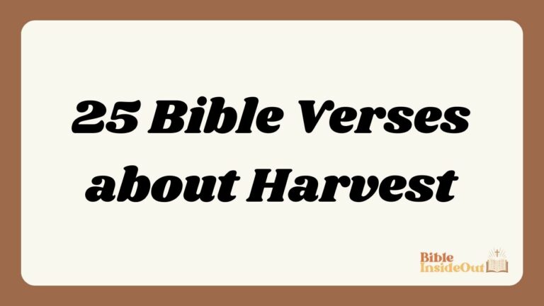25 Bible Verses about Harvest (With Commentary)