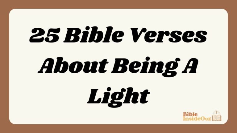 25 Bible Verses About Being A Light (With Commentary)