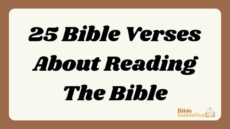 25 Bible Verses About Reading The Bible (With Commentary)