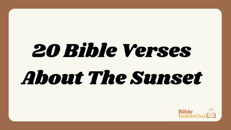 20 Bible Verses About The Sunset (With Commentary)