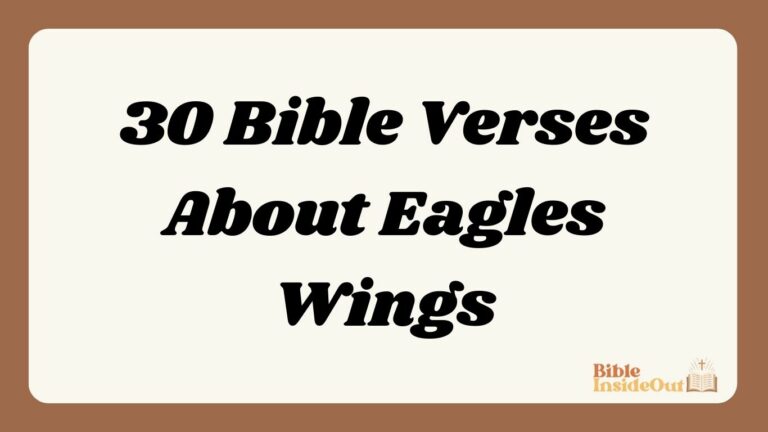 30 Bible Verses About Eagles Wings (With Commentary)