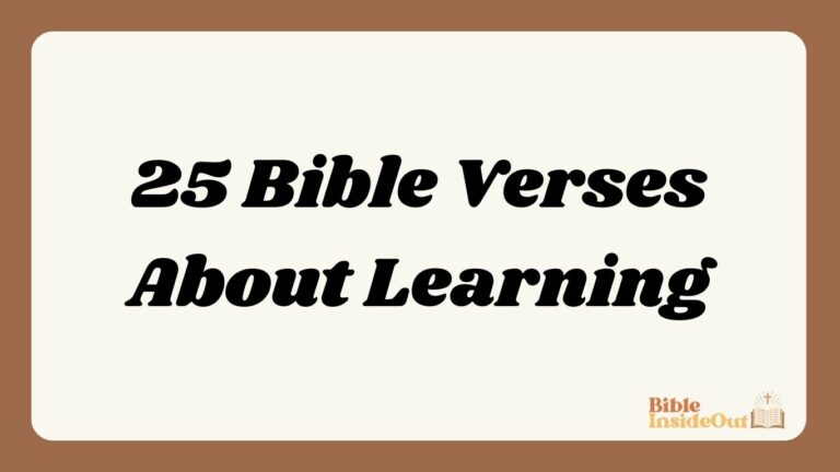25 Bible Verses About Learning (With Commentary)