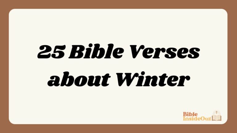 25 Bible Verses about Winter (With Commentary)