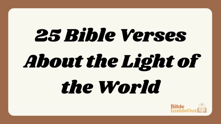 25 Bible Verses About the Light of the World